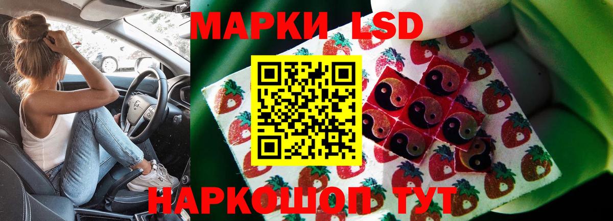 LSD-25 экстази кислота Новоалександровск