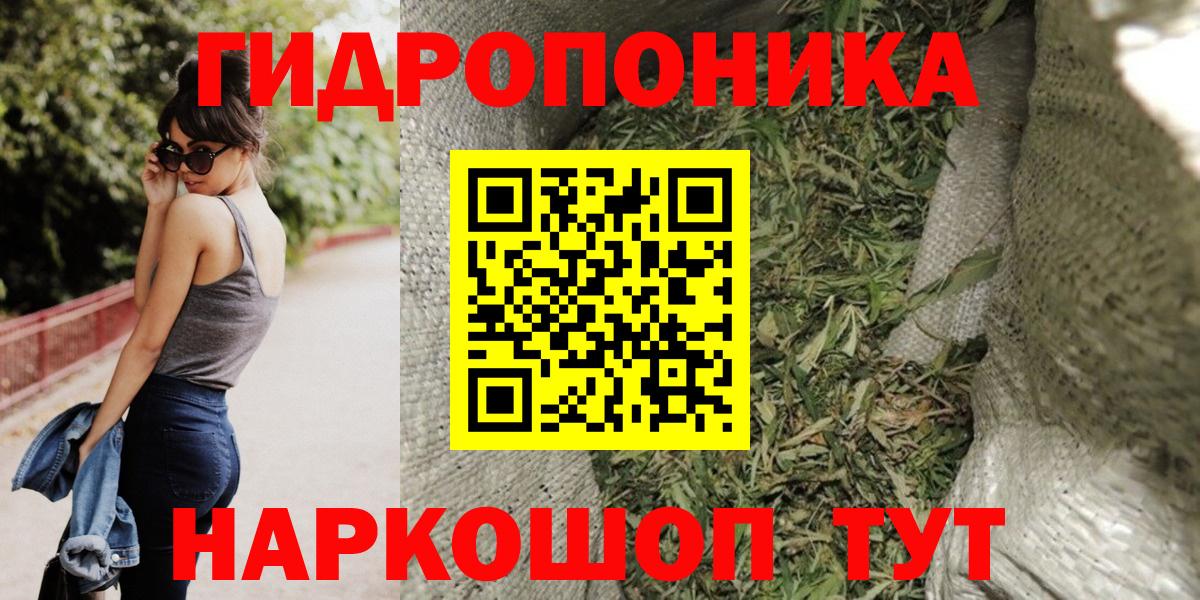 Конопля OG Kush Новоалександровск